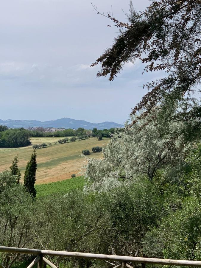 Il Lauro San Costanzo