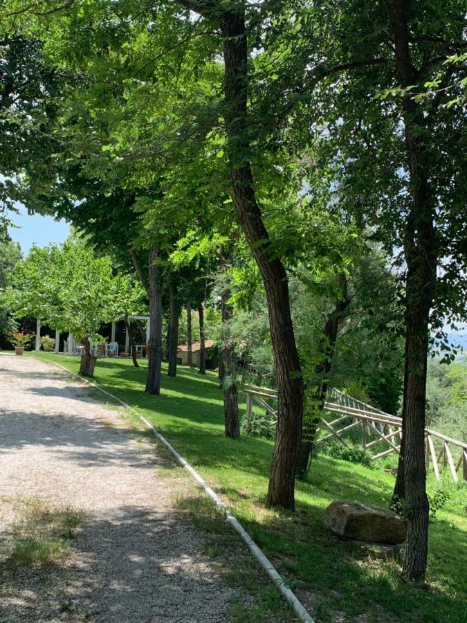 Bed and breakfast Il Lauro San Costanzo