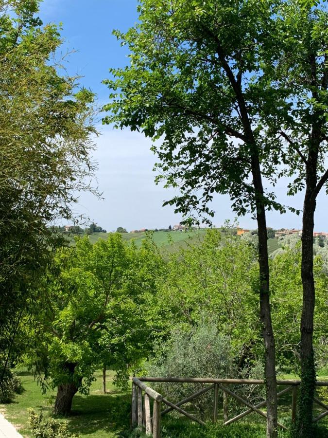 Il Lauro Bed and breakfast San Costanzo