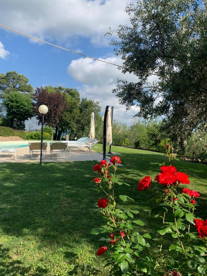 Il Lauro Bed and breakfast